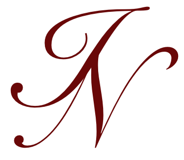 IN Logo